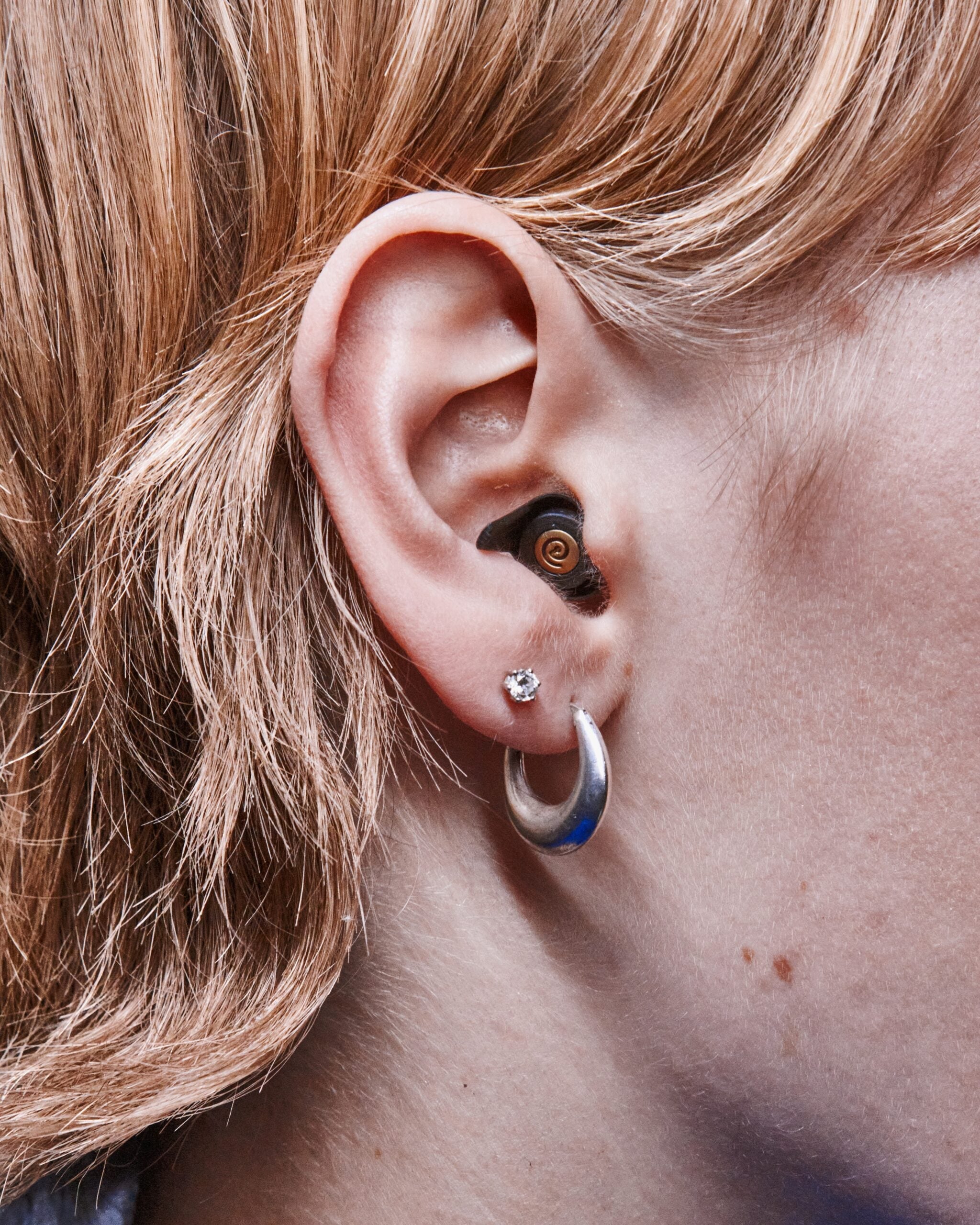 Festival Pack — Complete Bundle