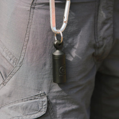 Festival Pack — Complete Bundle